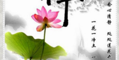 佛家禅语悟道人生的经典语录有哪些(佛道禅理悟人生)
