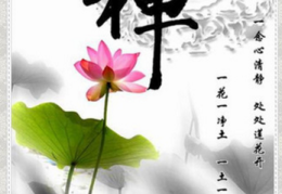 佛家禅语悟道人生的经典语录有哪些(佛道禅理悟人生)