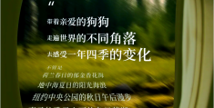 生命的哲学意义在于(生命的哲学意义在于什么)