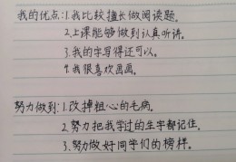 目标管理的优点和不足之处怎么写(目标管理的优点和不足之处怎么写作文)
