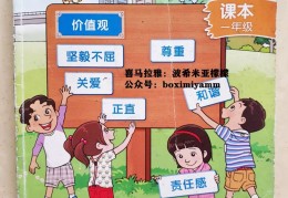 新加坡五大价值观时间(新加坡5)