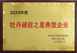 诚信投资发展有限公司是国企吗(诚信资本有限公司)