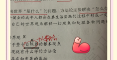 政治哲学的原理和方法论大全(政治哲学讲解)