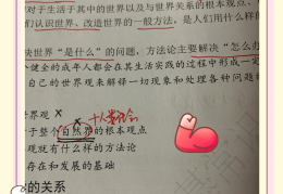 政治哲学的原理和方法论大全(政治哲学讲解)