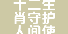 信念指的是什么生肖呢(信念指的是什么生肖呢图片)