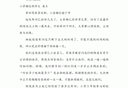 小学励志作文大全(小学励志优秀文章)