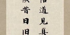 放下执着的佛经诗句(放下执着的佛经诗句有哪些)