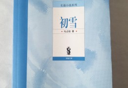 小说的主人公是江初雪(女主叫江初月的古代小说)
