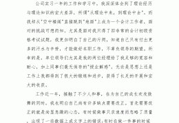 简述以往工作业绩及自我评价(过往工作业绩简述)