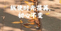 初心不变英语怎么写的(初心不变英语怎么写的呀)