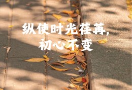 初心不变英语怎么写的(初心不变英语怎么写的呀)