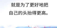 关于看透人生励志的句子(有关看透人生的句子)