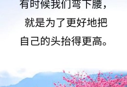 关于看透人生励志的句子(有关看透人生的句子)