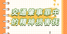 民事诉讼有精神抚慰金吗法律规定(民事诉讼中精神损失的赔偿范围)