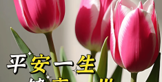 老年人的早安问候(老年人的早安问候图片)