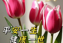 老年人的早安问候(老年人的早安问候图片)