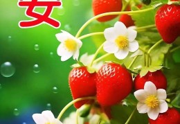 今日最佳早安句子冬天(冬天早安暖心)