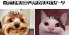 社恐生存指南(她的末世生存指南)