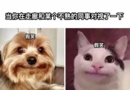 社恐生存指南(她的末世生存指南)