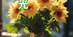 舒服轻松早安心语(舒服的早安语)