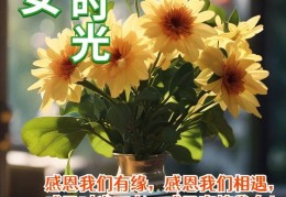舒服轻松早安心语(舒服的早安语)