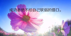 50句正能量人生哲理励志经典语录图片大全(正能量人生哲理短句)