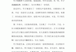怒放的生命作文体育(怒放的生命作文800字高中)
