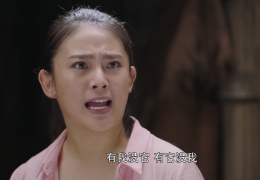 电视剧初心一共多少集完结(电视剧初心一共多少集完结了)