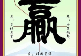 个人愿景图(个人愿景图大全)