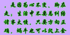 信念是什意思(信念指什么)