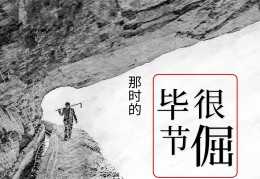 贵州省精神(贵州省精神卫生条例)