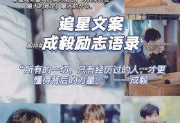 追星励志(追星励志文案正能量短句)