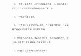 关于价值观的语句有哪些(关于价值观的优美文段)