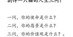 人生三问最佳答案大学生版(人生三问最佳答案大学生版免费)