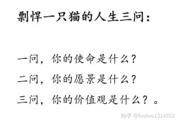 人生三问最佳答案大学生版(人生三问最佳答案大学生版免费)