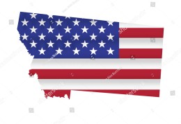 flag是什么意思英语单词怎么读(flag英文是什么)
