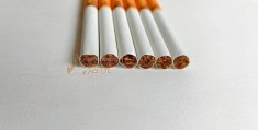 玉溪初心和玉溪(玉溪初心对比软玉溪)