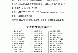 目标人物全名怎么写(目标人物全名怎么写好)