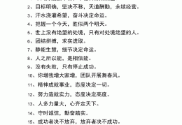 有冲劲的励志句子(有激励有冲劲的句子)