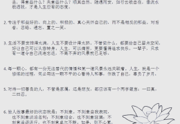 人生哲学的含义和作用是什么(人生哲学的含义和作用是什么呢)
