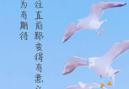 励志句子唯美简短图片带字(励志句子带图片带字)