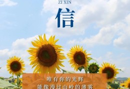 信念跟信仰的区别在哪(信念和信仰是一个意思吗)