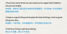 它很勇敢英文翻译(他非常勇敢用英语)