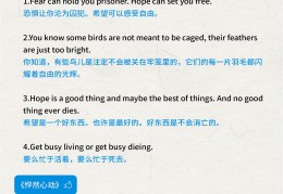 它很勇敢英文翻译(他非常勇敢用英语)