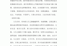 信念的颜色作文议论文(信念的颜色倡议书)