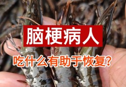 精神病人吃什么食物好一点(精神病人可以吃什么东西调理身体)