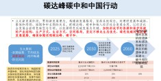 什么叫双碳目标(双碳目标是啥时提出来的)
