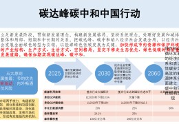什么叫双碳目标(双碳目标是啥时提出来的)