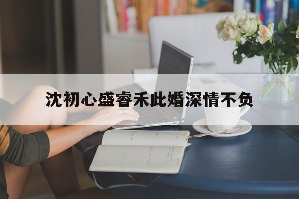 沈初心盛睿禾此婚深情不负(不负情深免费阅读全文)