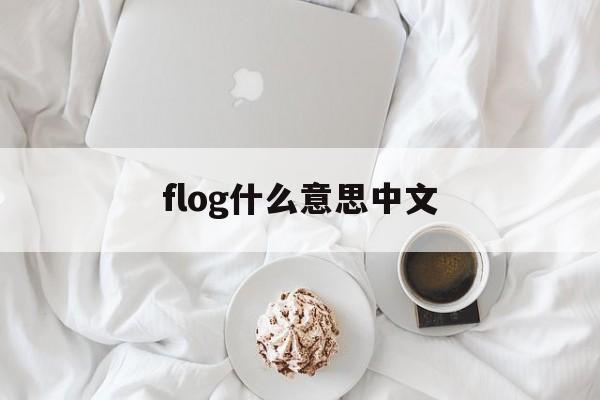 flog什么意思中文(flogging是什么意思)